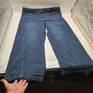 Sofia Jeans by Sofia Vergara Diana Palazzo Wide Leg Dark Wash Jeans 28W Plus